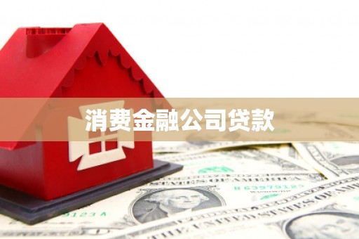 鱼台消费金融公司贷款