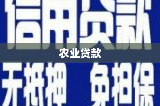 鱼台农业贷款