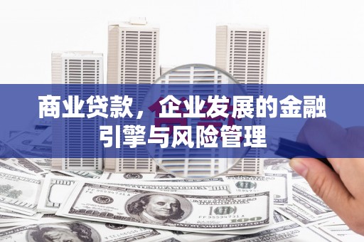鱼台商业贷款，企业发展的金融引擎与风险管理