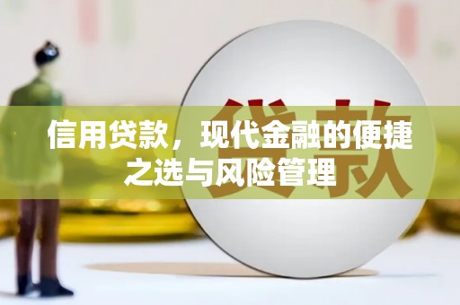 鱼台信用贷款，现代金融的便捷之选与风险管理