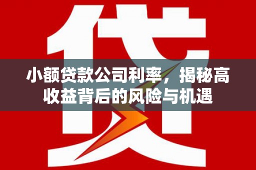 鱼台小额贷款公司利率，揭秘高收益背后的风险与机遇