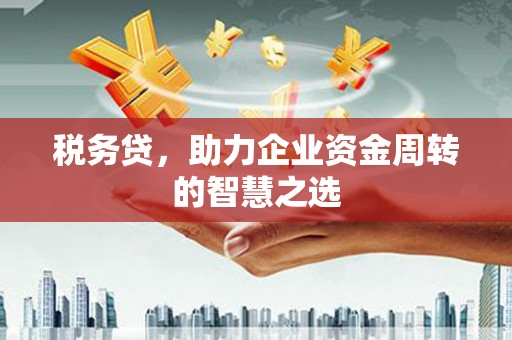 鱼台税务贷，助力企业资金周转的智慧之选
