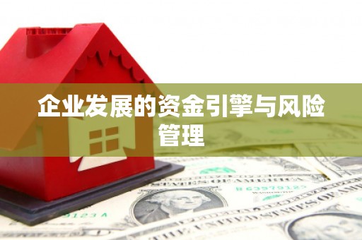鱼台企业发展的资金引擎与风险管理