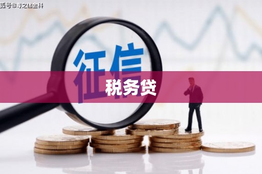 鱼台税务贷