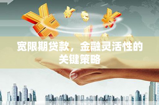鱼台宽限期贷款，金融灵活性的关键策略