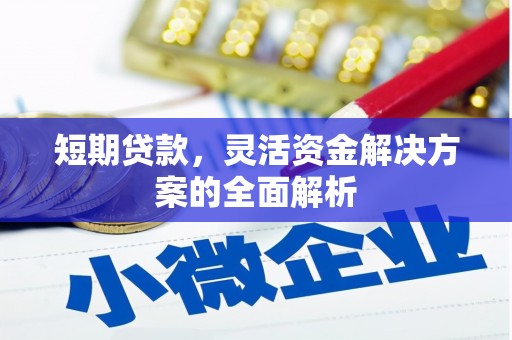 鱼台短期贷款，灵活资金解决方案的全面解析