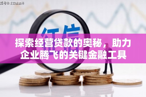 鱼台探索经营贷款的奥秘，助力企业腾飞的关键金融工具