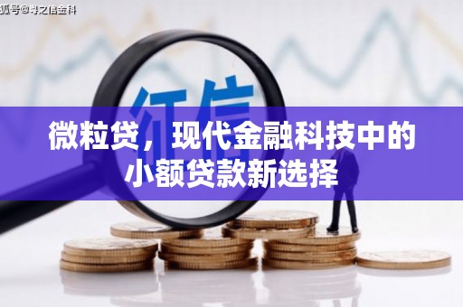 鱼台微粒贷，现代金融科技中的小额贷款新选择