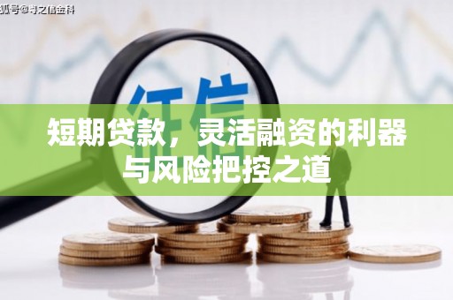 鱼台短期贷款，灵活融资的利器与风险把控之道
