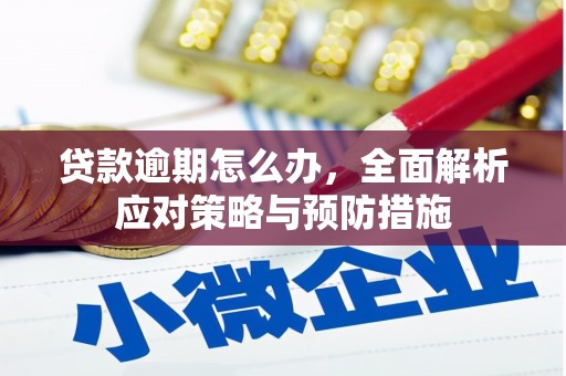 鱼台贷款逾期怎么办，全面解析应对策略与预防措施
