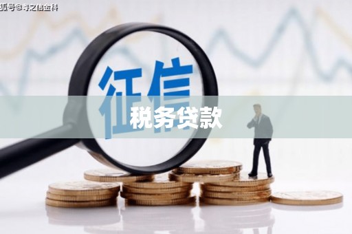 鱼台税务贷款