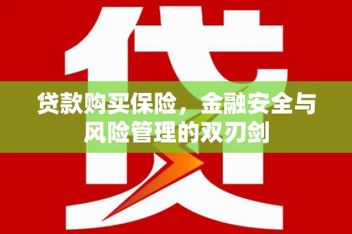 鱼台贷款购买保险，金融安全与风险管理的双刃剑