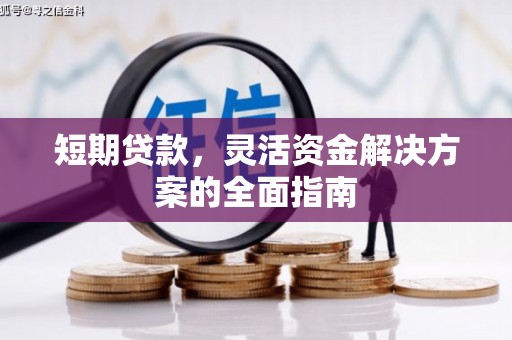 鱼台短期贷款，灵活资金解决方案的全面指南