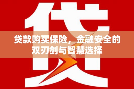 鱼台贷款购买保险，金融安全的双刃剑与智慧选择