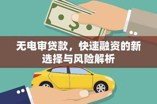 鱼台无电审贷款，快速融资的新选择与风险解析