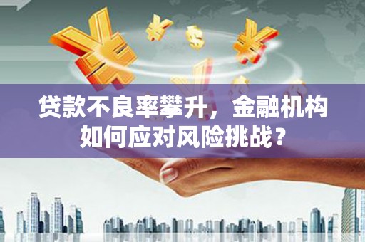 鱼台贷款不良率攀升，金融机构如何应对风险挑战？
