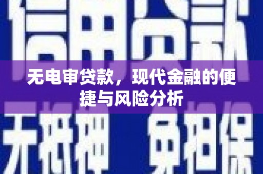 鱼台无电审贷款，现代金融的便捷与风险分析