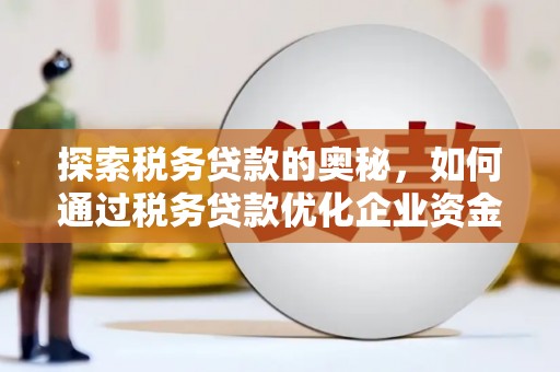 鱼台探索税务贷款的奥秘，如何通过税务贷款优化企业资金流