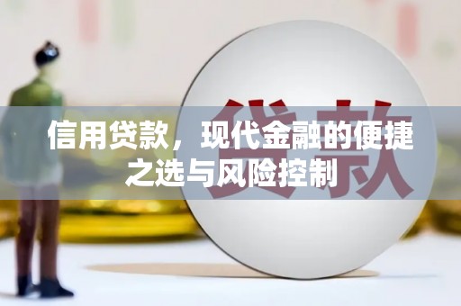 鱼台信用贷款，现代金融的便捷之选与风险控制