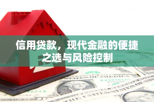鱼台信用贷款，现代金融的便捷之选与风险控制