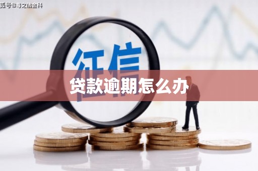 鱼台贷款逾期怎么办