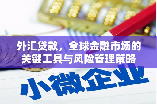 鱼台外汇贷款，全球金融市场的关键工具与风险管理策略