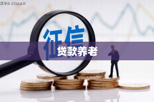鱼台贷款养老