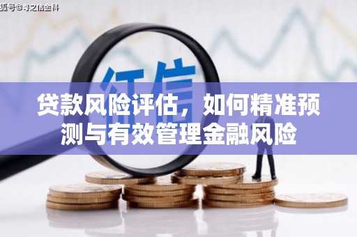 鱼台贷款风险评估，如何精准预测与有效管理金融风险