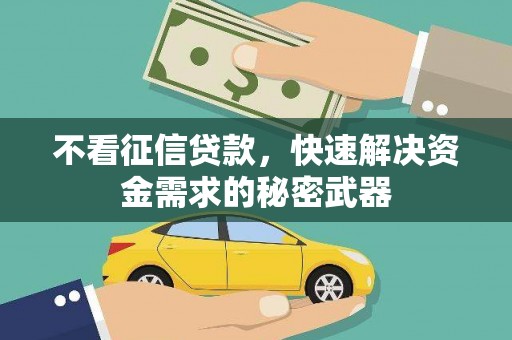 鱼台不看征信贷款，快速解决资金需求的秘密武器