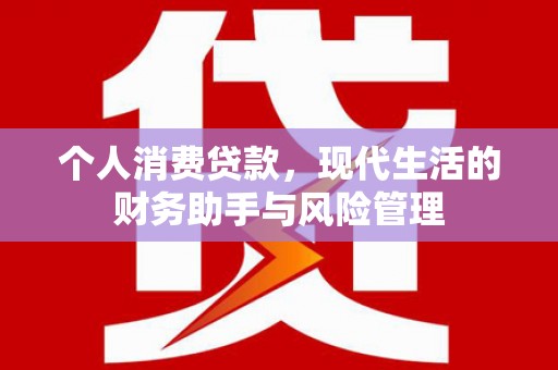 鱼台个人消费贷款，现代生活的财务助手与风险管理