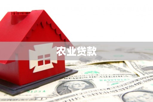 鱼台农业贷款