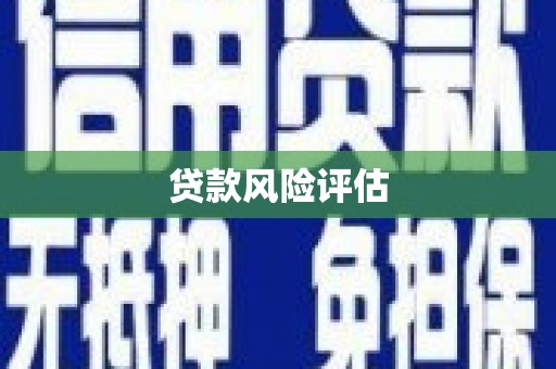 鱼台贷款风险评估