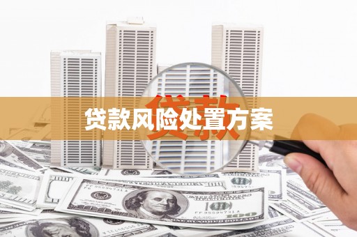 鱼台贷款风险处置方案
