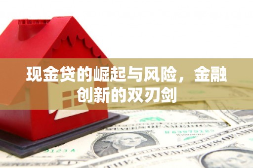 鱼台现金贷的崛起与风险，金融创新的双刃剑
