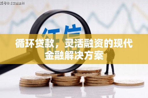 鱼台循环贷款，灵活融资的现代金融解决方案