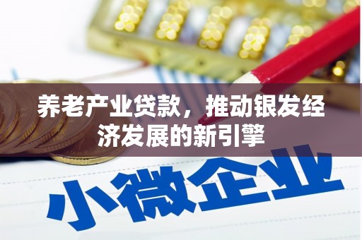 鱼台养老产业贷款，推动银发经济发展的新引擎