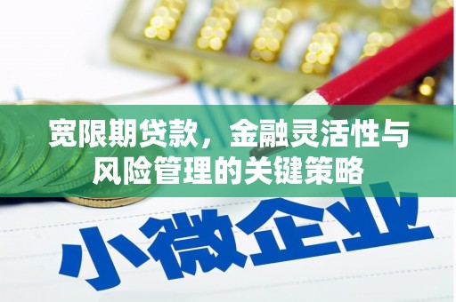 鱼台宽限期贷款，金融灵活性与风险管理的关键策略