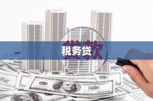 鱼台税务贷
