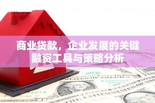 鱼台商业贷款，企业发展的关键融资工具与策略分析