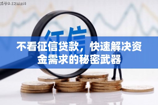 鱼台不看征信贷款，快速解决资金需求的秘密武器