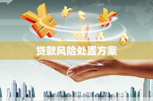 鱼台贷款风险处置方案