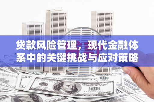 鱼台贷款风险管理，现代金融体系中的关键挑战与应对策略