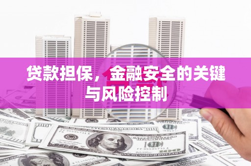 鱼台贷款担保，金融安全的关键与风险控制