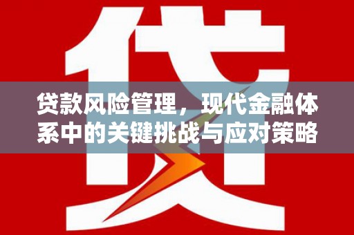 鱼台贷款风险管理，现代金融体系中的关键挑战与应对策略