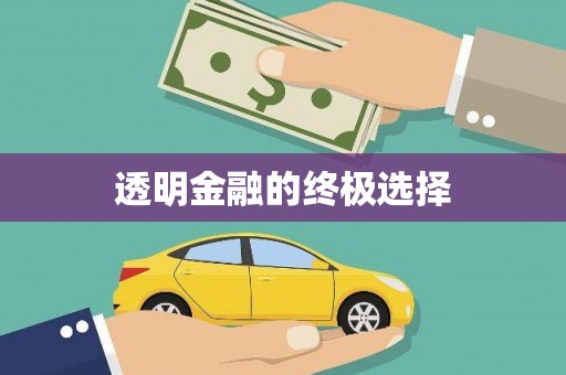 鱼台透明金融的终极选择
