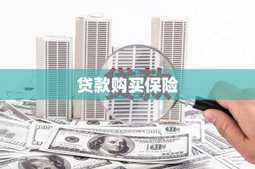 鱼台贷款购买保险