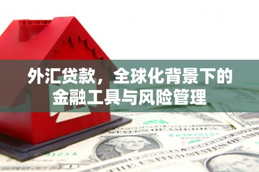 鱼台外汇贷款，全球化背景下的金融工具与风险管理