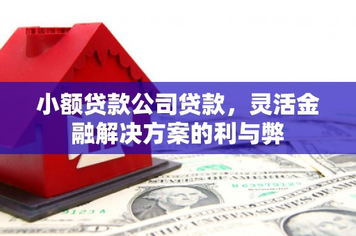 鱼台小额贷款公司贷款，灵活金融解决方案的利与弊